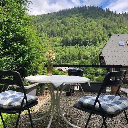 Ferienwohnung Haus am Scheibenfelsen St. Blasien Exterior foto