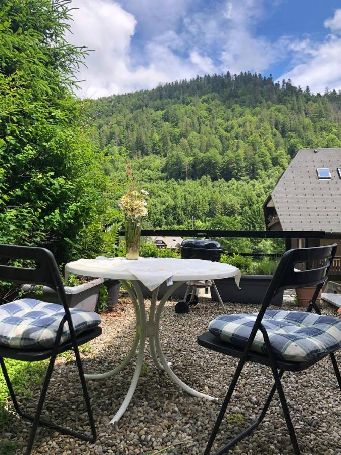 Apartment Haus Am Scheibenfelsen St. Blasien
