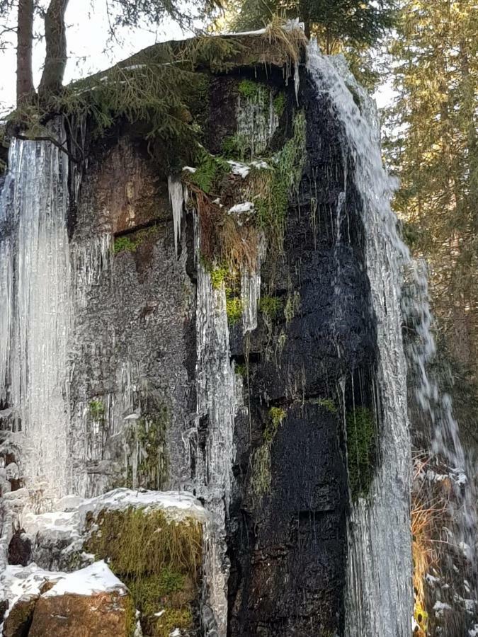 Haus Am Scheibenfelsen Апартаменты